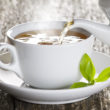 Jakość ma znaczenie, czyli jak wygląda selekcja liści herbacianych?