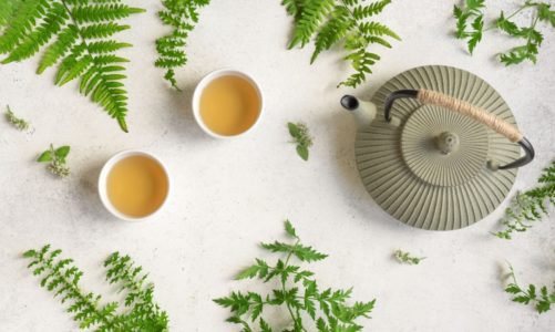 Najsłynniejsze odmiany herbaty zielonej – Różne odcienie zieleni